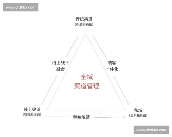 以增长为导向的全渠道整合营销计划与执行路径设计方案优化体系构建